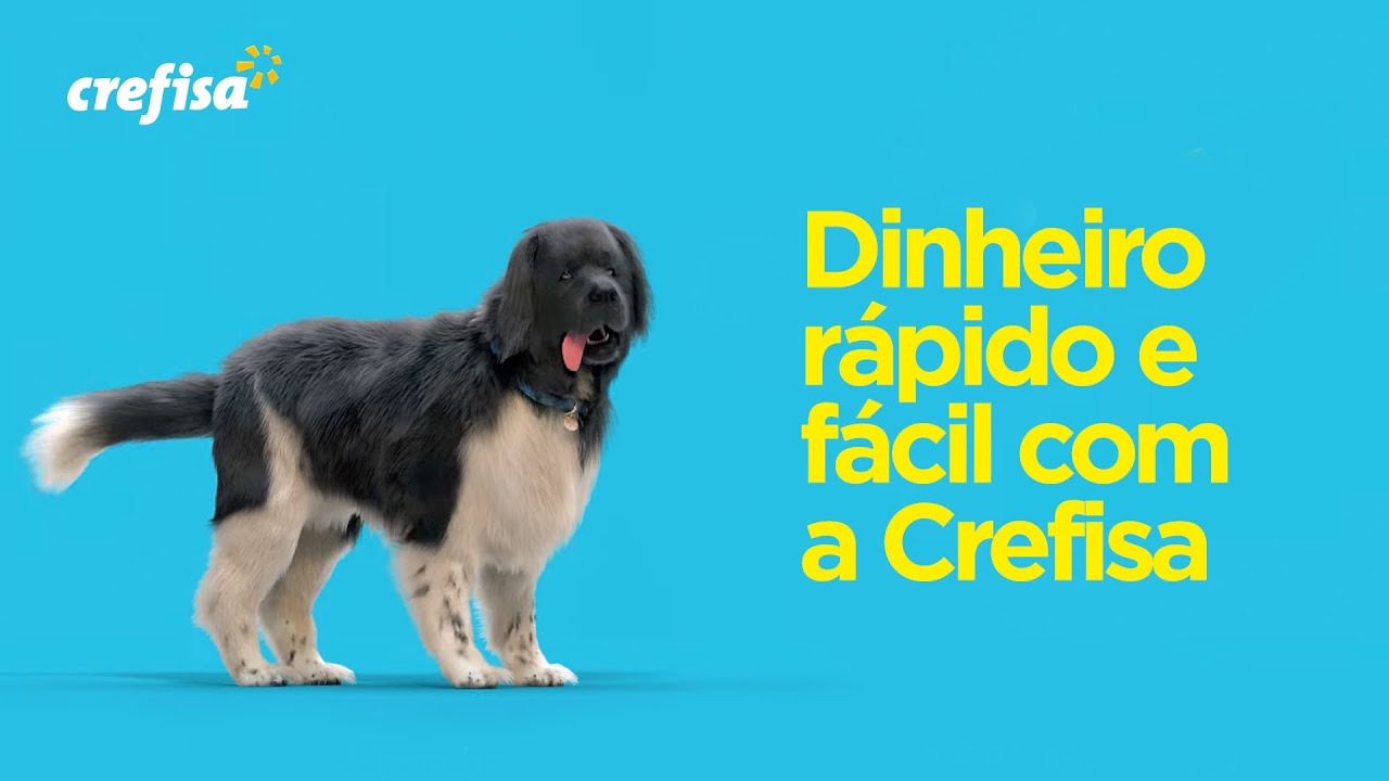 Empréstimo Crefisa: entenda como funciona!